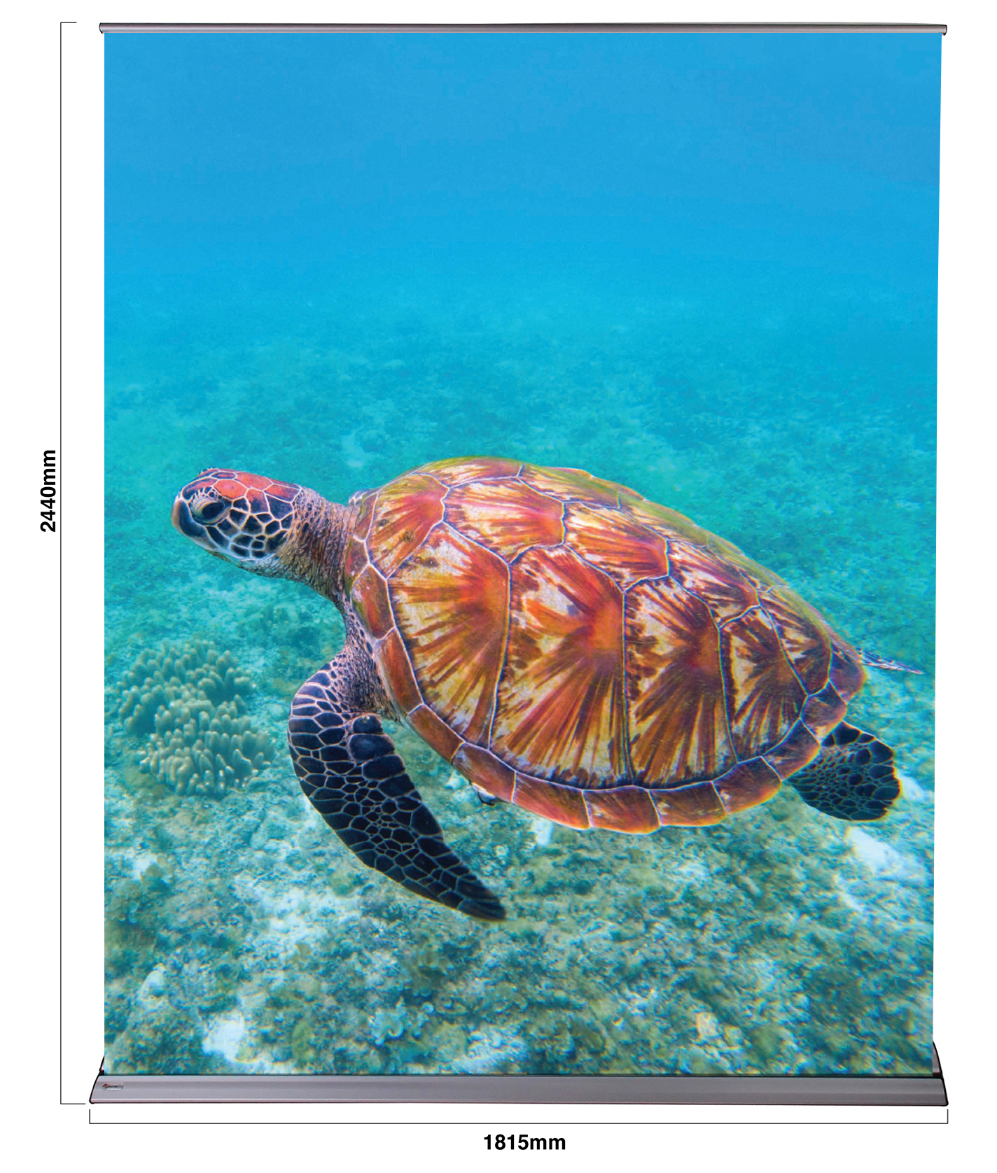 BannerBug Media Wall (B)